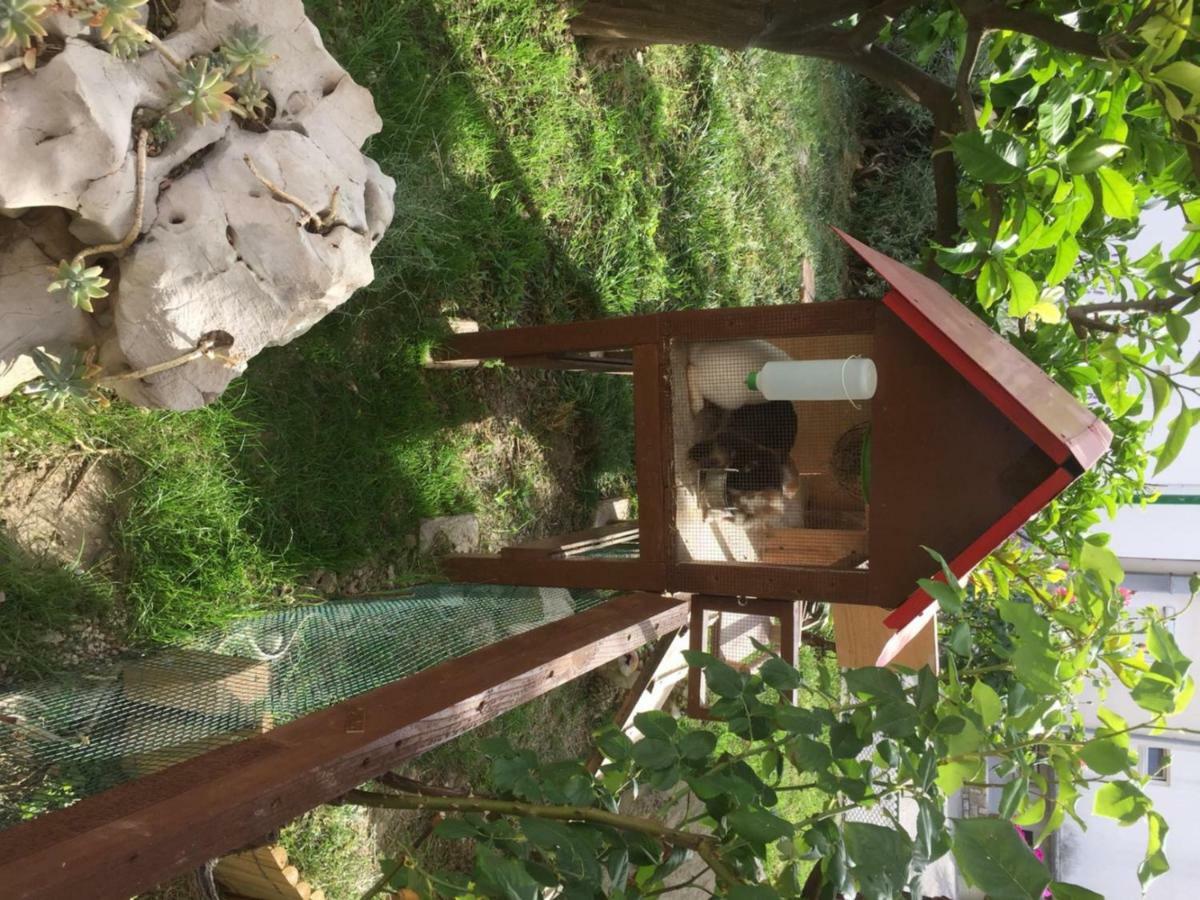 Apartmani Zorica Rab Town Exteriör bild